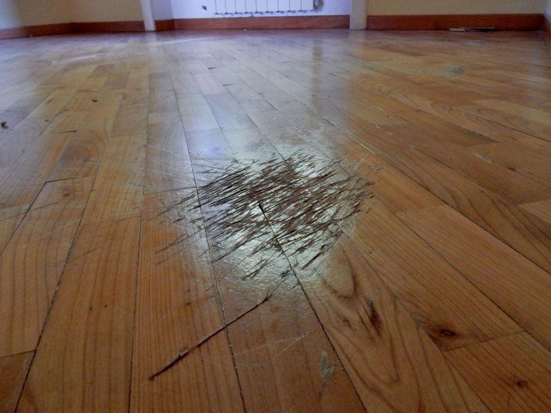 Wood Floor Scratch Repair Costs — Cost of Wood Floor Scratch Repair